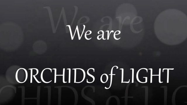 We are Orchids of Light